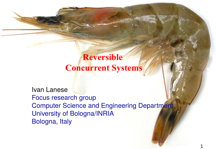 reversible concurrent systems