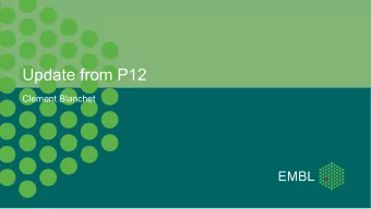 Update from P12  Clement Blanchet  P12 BioSAXS beamline on PETRAIII  Energy  4-20 keV (6-20keV)
