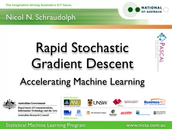 Rapid Stochastic  Gradient Descent  Accelerating Machine Learning  Statistical Machine Learning