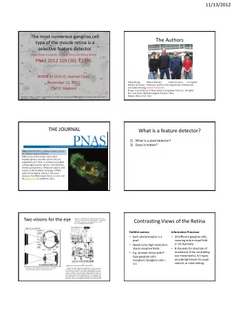 The Authors  type of the mouse retina is a  selective feature detector.  Yifeng  Zhang, In-Jung