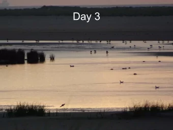 Day 3  Day 3  Day 3  Resonant photon excitation in EBIT  Synchrotron radiation (PETRAIII),