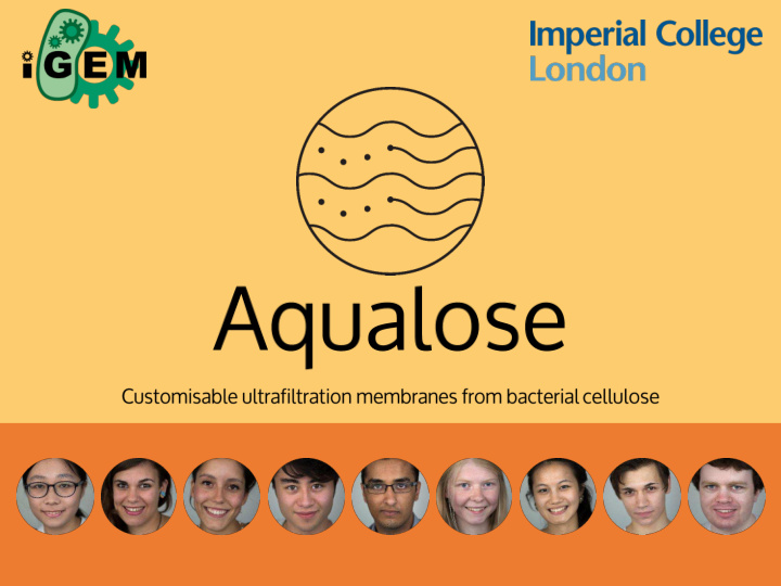 acterial cellulose in nature