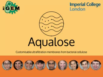 acterial cellulose in nature