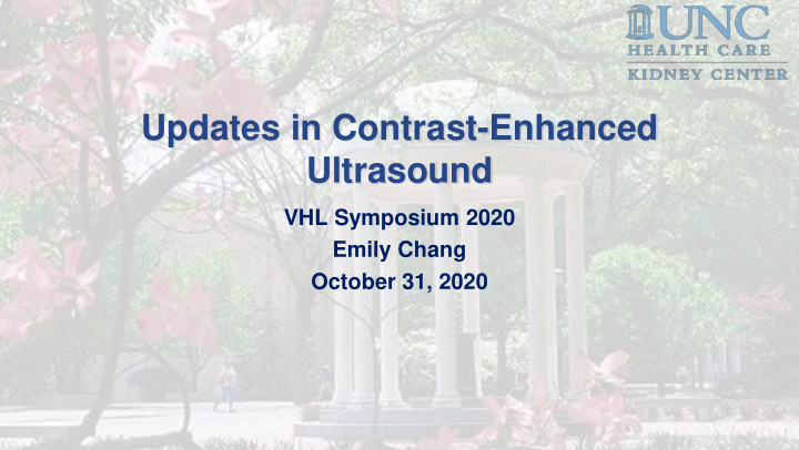 updates in contrast enhanced ultrasound