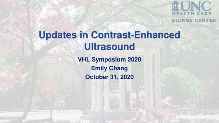 updates in contrast enhanced ultrasound