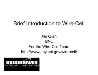 Brief Introduction to Wire-Cell  Xin Qian  BNL  For the Wire-Cell Team