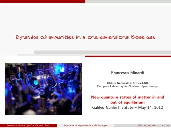 Dynamics of impurities in a one-dimensional Bose gas  Francesco Minardi  Istituto Nazionale di