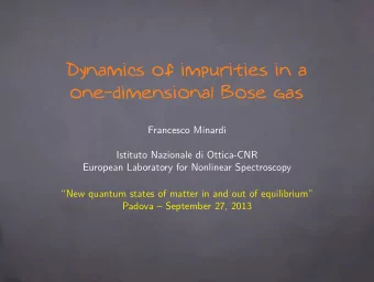 Dynamics of impurities in a  one-dimensional Bose gas  Francesco Minardi  Istituto Nazionale di