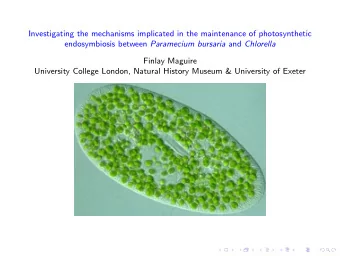 Investigating the mechanisms implicated in the maintenance of photosynthetic endosymbiosis between