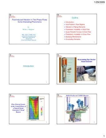 1/29/2009  Outline  Flow-Induced Vibration in Two-Phase Flows:  Some Interesting Phenomena
