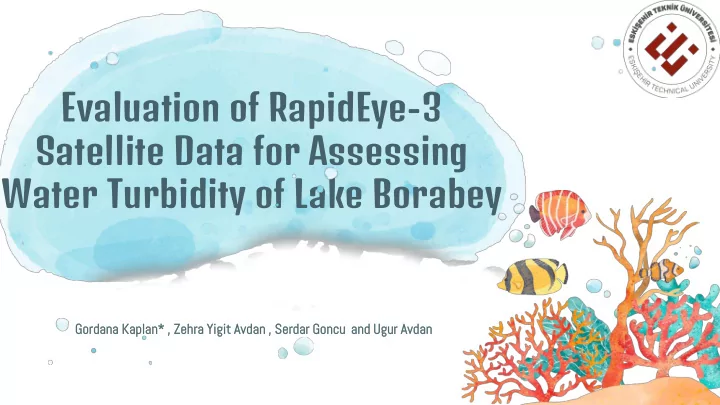 evaluation of rapideye 3