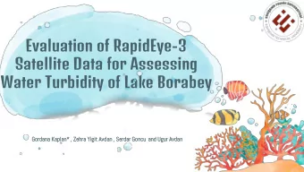 Evaluation of RapidEye-3  Satellite Data for Assessing  Water Turbidity of Lake Borabey  Gordan