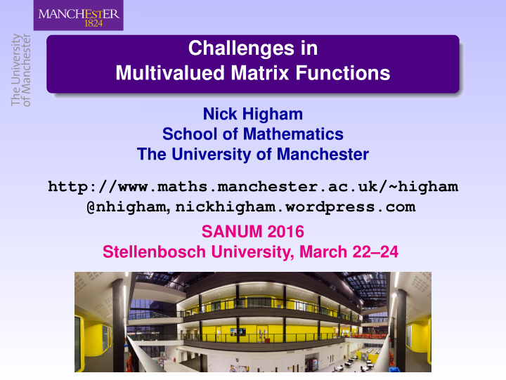 challenges in multivalued matrix functions