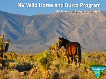 NV Wild Horse and Burro Program  NV Sagebrush Ecosystem Council Velma Johnston (Wild Horse Annie)