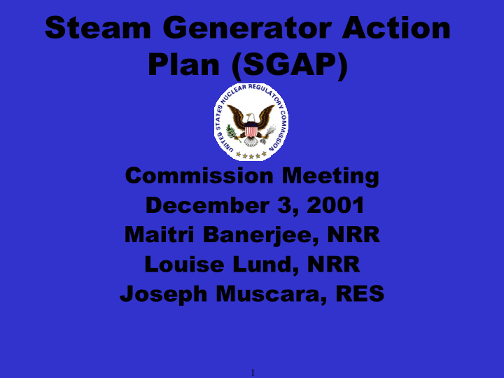 steam generator action plan sgap