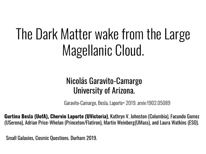 the dark matter wake from the large magellanic cloud