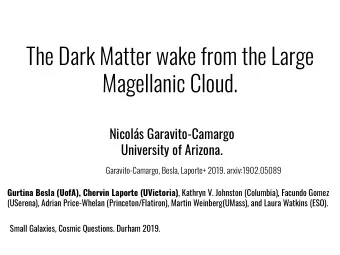 The Dark Matter wake from the Large  Magellanic Cloud.  Nicols Garavito-Camargo  University of