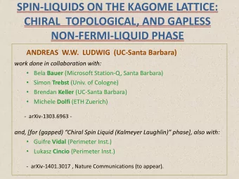 CHIRAL  TOPOLOGICAL, AND GAPLESS  NON-FERMI-LIQUID PHASE  ANDREAS  W.W.  LUDWIG  (UC-Santa Barbara)