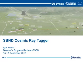 SBND Cosmic Ray Tagger  Igor Kreslo  Directors Progress Review of SBN  15-17 December 2015  SBN