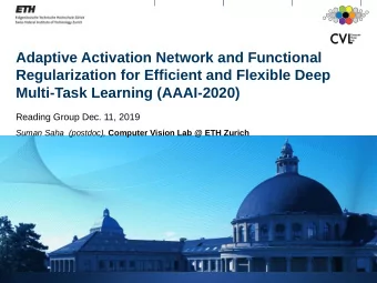 Adaptive Activation Network and Functional  Regularization for Efficient and Flexible Deep