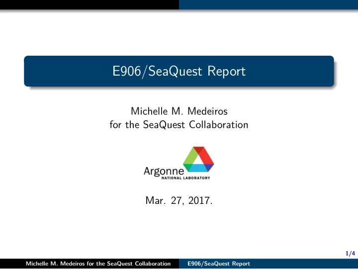 e906 seaquest report