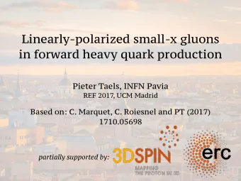 Linearly-polarized small-x gluons  in forward heavy quark production  Pieter Taels, INFN Pavia  REF