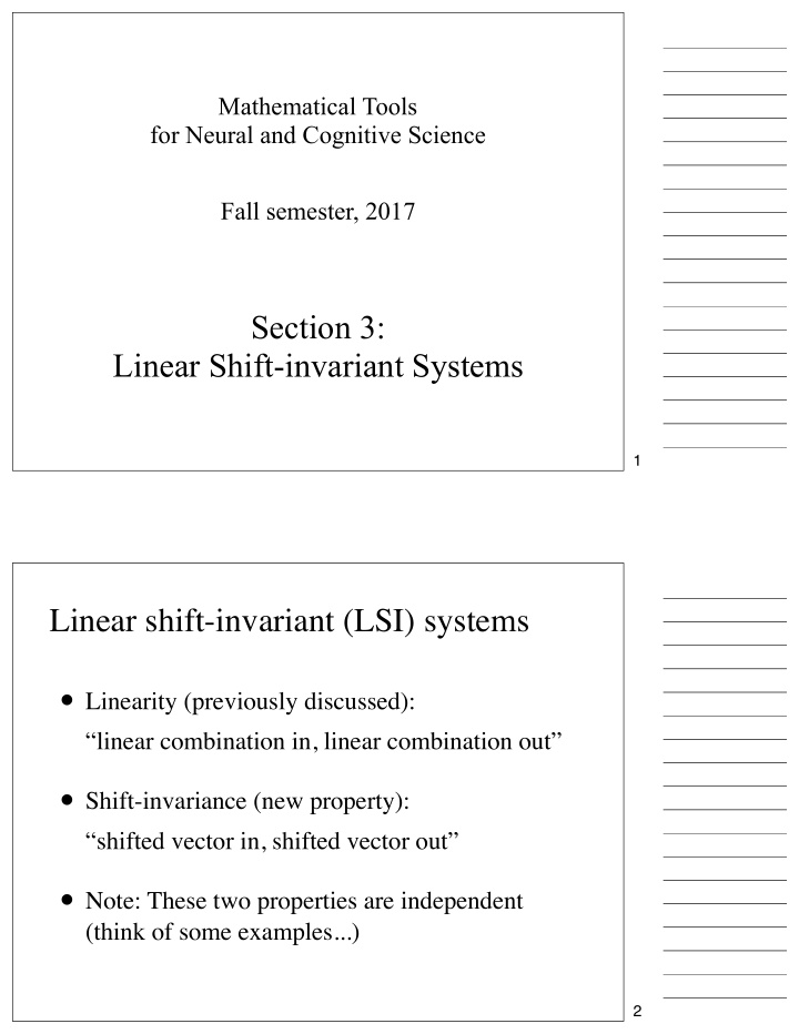 lsi system