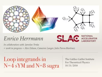 Loop integrands in  The Galileo Galilei Institute   For Theoretical Physics  N=4 sYM and N=8