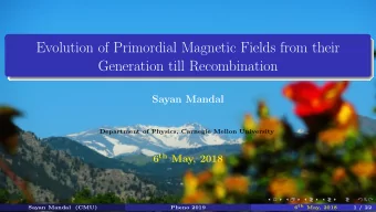 Evolution of Primordial Magnetic Fields from their  Generation till Recombination  Sayan Mandal