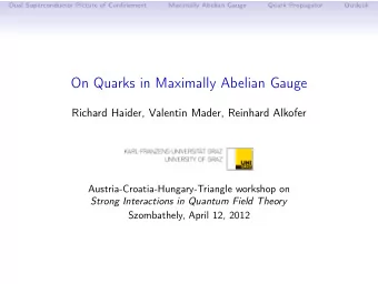 On Quarks in Maximally Abelian Gauge  Richard Haider, Valentin Mader, Reinhard Alkofer