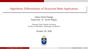 Algorithmic Differentiation of Structured Mesh Applications  G  abor D  aniel Balogh