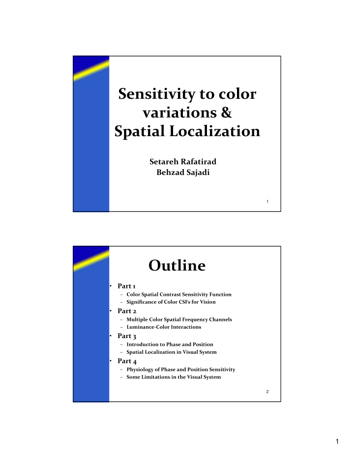 sensitivity to color variations amp spatial localization