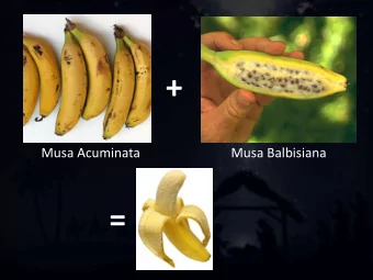 =  1 Timothy 2:5 ESV  there is one mediator between  God and men, the man Christ  Jesus  Luke