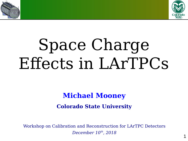 space charge efgects in lartpcs