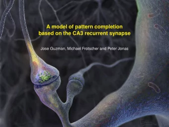A model of pattern completion  based on the CA3 recurrent synapse  Jose Guzman, Michael Frotscher