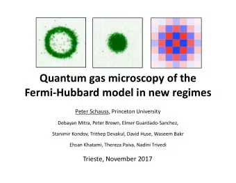 Quantum gas microscopy of the  Fermi-Hubbard model in new regimes  Peter Schauss, Princeton