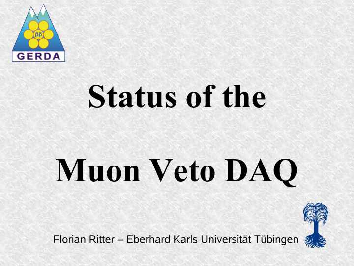 status of the muon veto daq