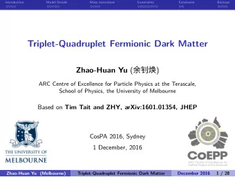 Triplet-Quadruplet Fermionic Dark Matter  Backups  Conclusion  Constraints  Mass corrections  1 /