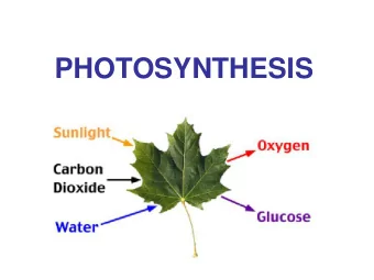 PHOTOSYNTHESIS  Fundamental biological processes  for making and using energy Photosynthesis :