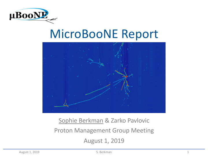 microboone report