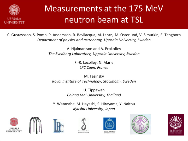 neutron beam at tsl