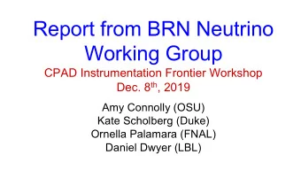 Report from BRN Neutrino  Working Group  CPAD Instrumentation Frontier Workshop Dec. 8 th , 2019
