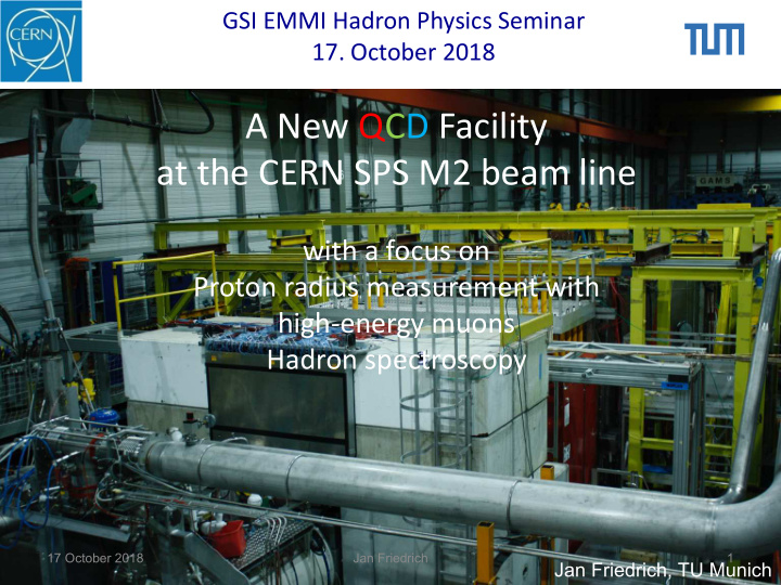 a new qcd facility at the cern sps m2 beam line