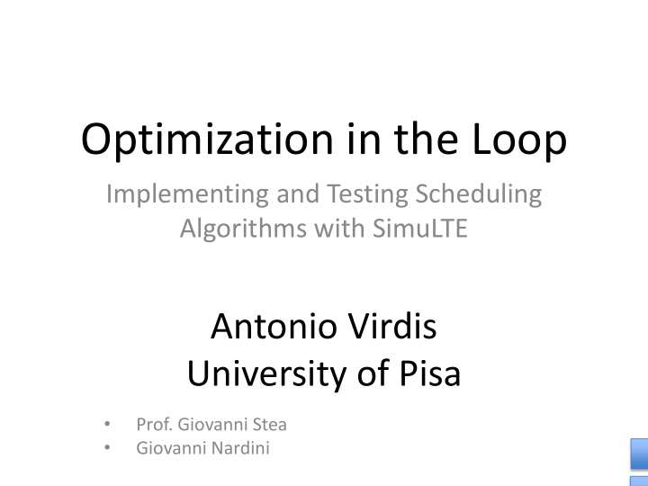 optimization in the loop