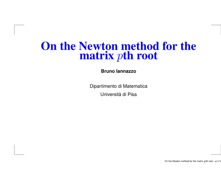 on the newton method for the matrix th root
