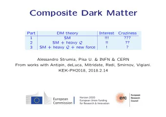 Composite Dark Matter  Part  DM theory  Interest  Craziness  1  SM  !!!  ???  2 SM + heavy Q  !!