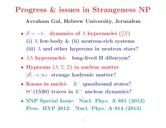 Progress &amp; issues in Strangeness NP  Avraham Gal, Hebrew University, Jerusalem dynamics of