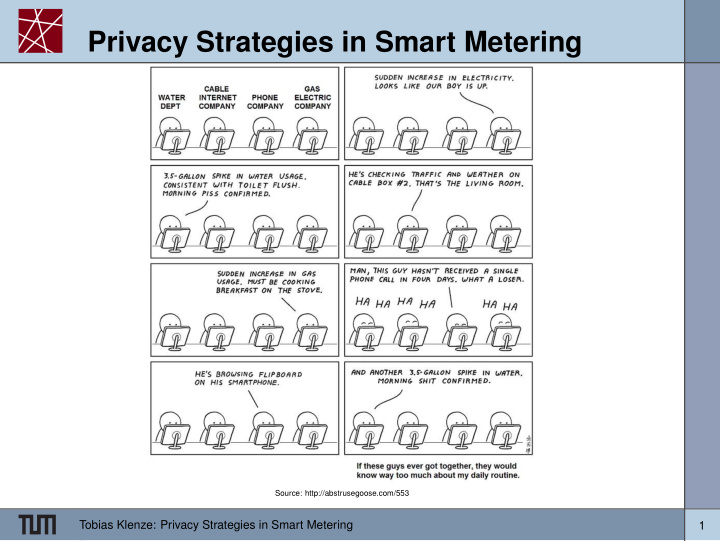 privacy strategies in smart metering