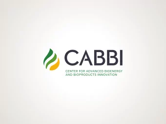 OUR  TEAM  Conversion  Dr. Huimin Zhao  Sustainability  Dr. Madhu Khanna    ranging from plots