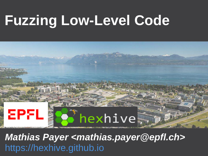 fuzzing low level code